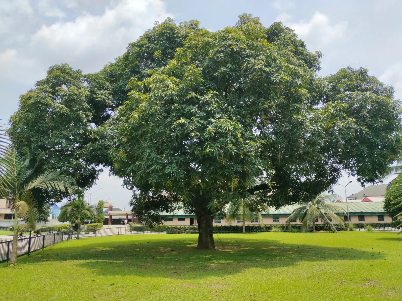 Port Harcourt